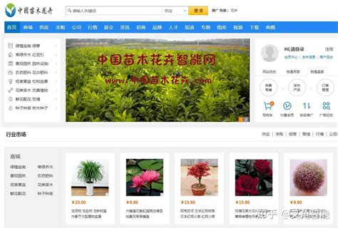 中国苗木花卉智能网——苗木花卉产业的优势，转型与建议。 - 知乎