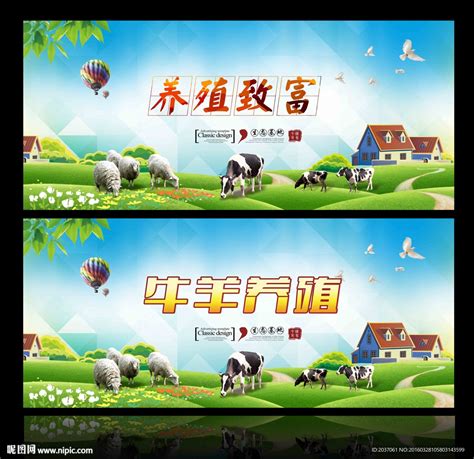 生态养殖 牛羊设计图__展板模板_广告设计_设计图库_昵图网nipic.com