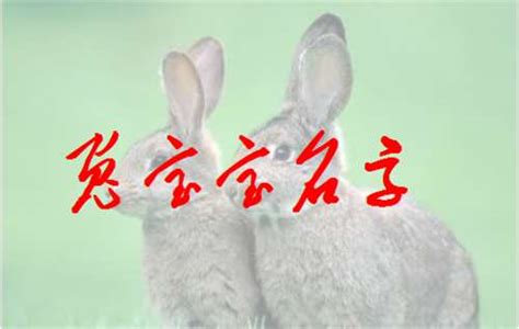 2011年属兔男孩八字取名字（属兔子的小名怎么取好）_起名_若朴堂文化