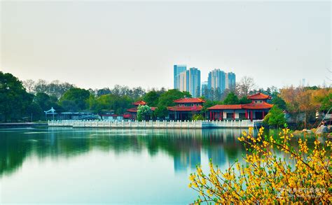 又是武汉青山公园-中关村在线摄影论坛