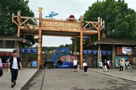 南京红山动物园游玩攻略 - 知乎