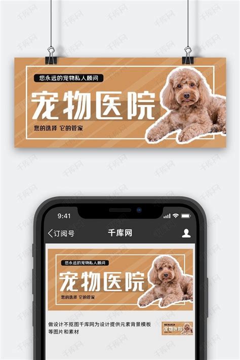 LOGO设计-恩和动物医院-宠物医院|平面|标志|linxiao1210 - 原创作品 - 站酷 (ZCOOL)