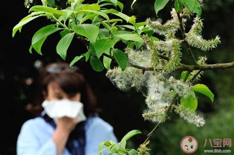 春天花粉过敏鼻炎打喷嚏素材图片免费下载-千库网