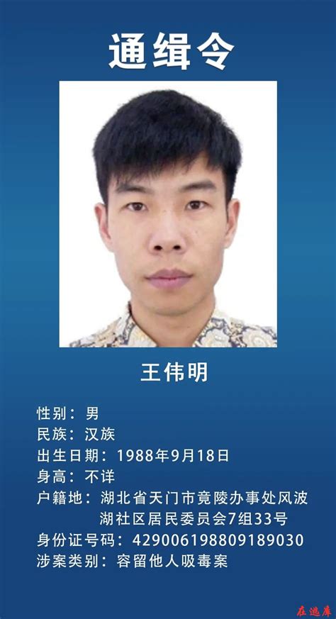 湖北省公安厅关于公开通缉18名 在逃人员的通告_媒体报道_抓逃犯-全国在逃人员查询网站