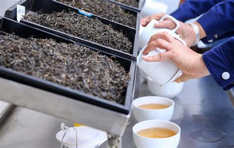 揭秘普洱茶的“等级之分”：等级越高，品质就越好吗？-爱普茶网,最新茶资讯网站,https://www.ipucha.com