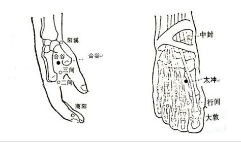 太冲准确位置图图片