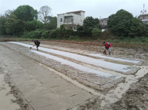 会理市黎溪镇百亩花海