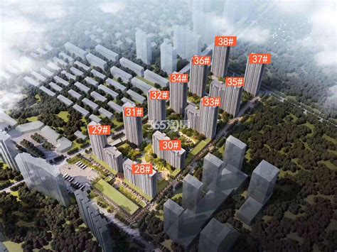颜值高，配套全！杭州这里两处住房项目即将开工建设|配套|平方米|用房_新浪新闻
