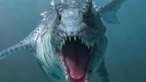 世界上最凶猛的鲨鱼！以大白鲨为食，堪称海洋霸主！海上杀手？