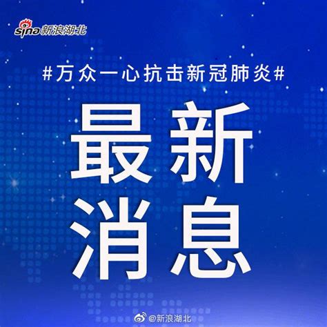 武汉市副市长：社区团购要满足老百姓个性化需求|团购|新冠肺炎_新浪新闻