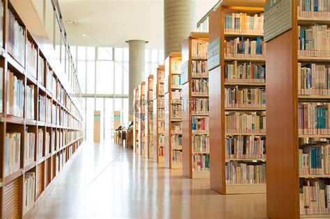 图书馆报刊阅览室2016年新期刊更新整理工作圆满结束-图书馆