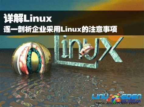 Linux系统有哪些优点？为什么程序员都要学习Linux系统？-运维资讯-博学谷