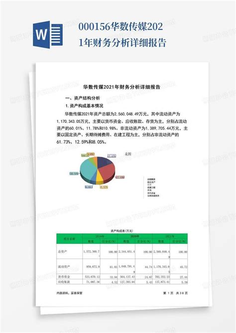 000156华数传媒2021年财务分析详细报告-Word模板下载_编号leonaajw_熊猫办公