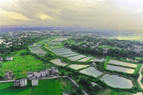 三江乡：以水兴水 产业强村 | 赣州经济技术开发区