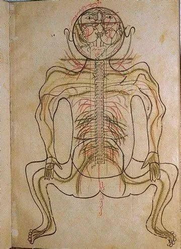 皮囊之下——解剖学的前世今生_人体