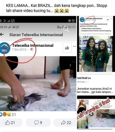 丧心病狂！洪都拉斯女子穿高跟鞋踩死小猫，网友看完视频气炸了