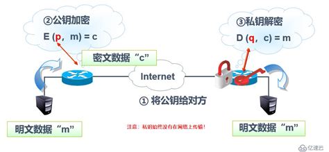 虚拟专用网络系统（VPN）