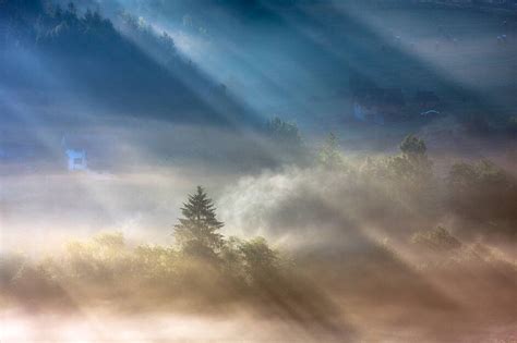 秋天的风景森林中的晨雾阳光和松树高清图片下载-正版图片506200979-摄图网