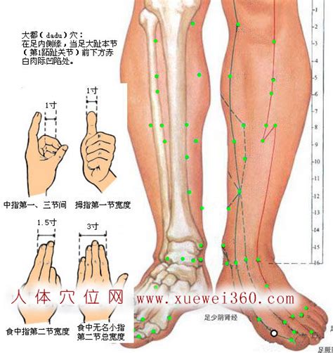 大都的准确位置图图片 大都的准确位置图图片