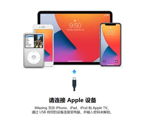 如何使用iMazing导出iPhone的网页浏览记录-iMazing中文网站