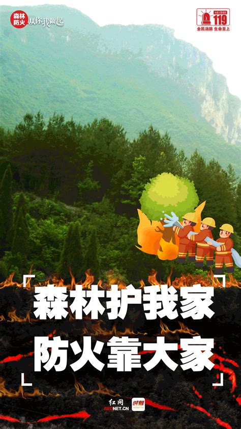 海报 | 森林防火 人人有责_支撑保障_林业频道
