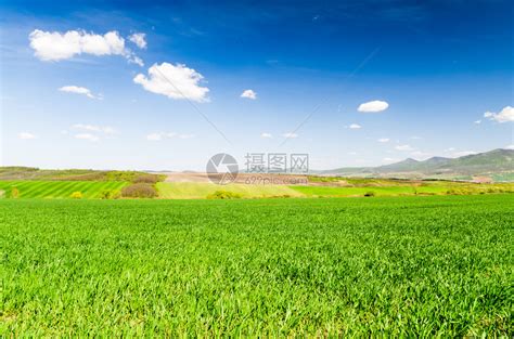 绿色田野的美丽景色，蓝天白云在阳光明媚的日子，自然背景。高清摄影大图-千库网