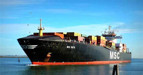 国际海运服务-上海危险品运输代理公司