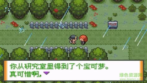口袋妖怪水晶下载 中文修正版_单机游戏下载