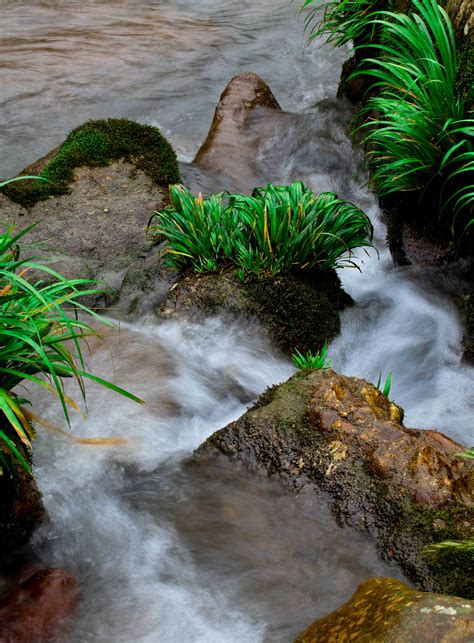 高山流水图片