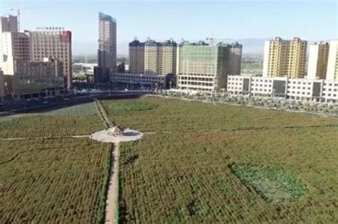 张掖甘州区加快推进北郊湿地恢复治理项目_凤凰网视频_凤凰网