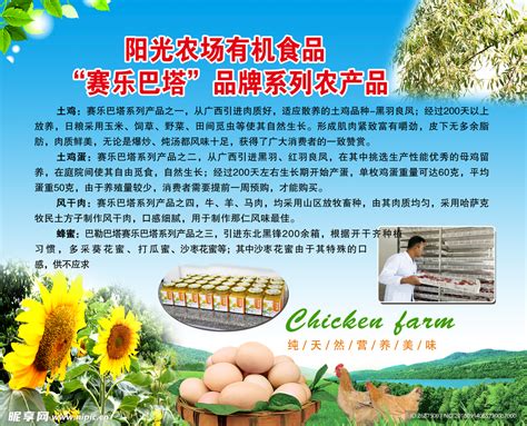 农产品图片海报,农产品海报,农产品创意海报_大山谷图库