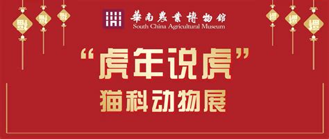 展览预告 | 迎元旦——华南农业博物馆举办“虎年说虎”猫科动物展
