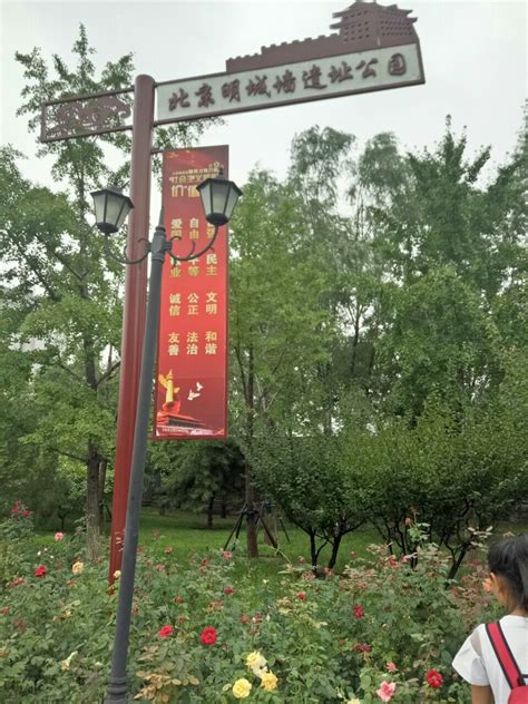 北京：明城墙遗址公园，春花“生生不息”映残垣烙印