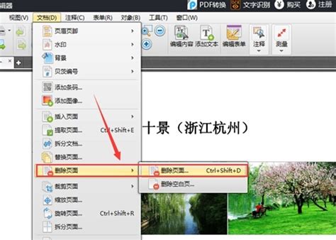 捷速PDF编辑器修改PDF文件文字的教程_华军软件园
