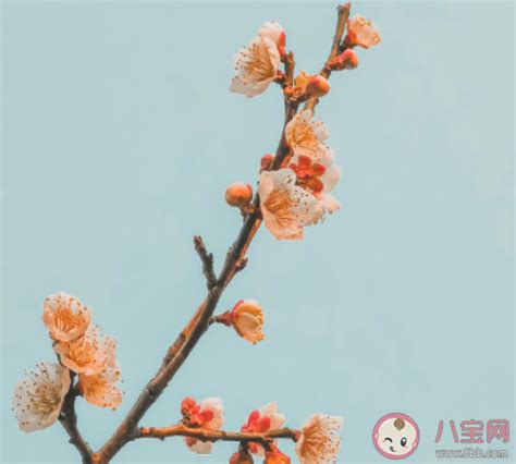 春暖花开插画图片下载-正版图片400985583-摄图网