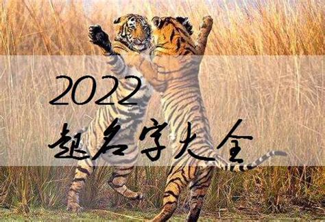 2022虎年好名字,宝宝起名20年属虎,20年属虎的起名字(第12页)_大山谷图库