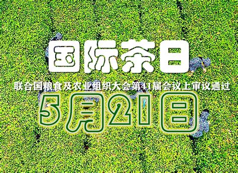 联络人 的图像结果