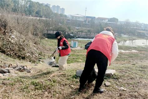 天灯社区：清理河道垃圾 美化河岸环境