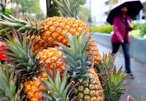 国台办：暂停进口台湾菠萝科学合理_凤凰网视频_凤凰网