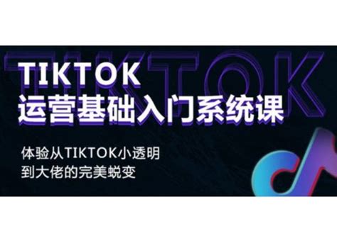 Tiktok实操进阶大佬课程，抖音国际版运营视频教程 - VIPC6资源网