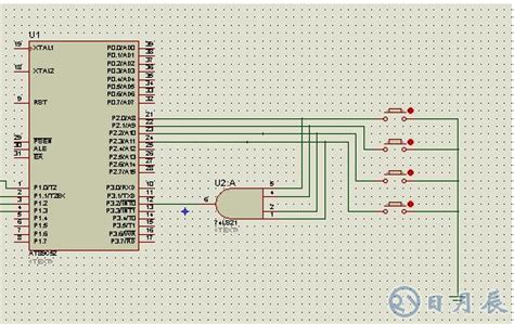 51单片机+L298直流电动机控制程序+Proteus仿真与制作调试文档 - 51单片机