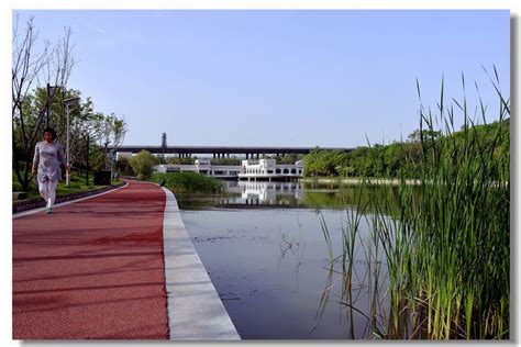 西安雁鸣湖湿地公园预计将在明年5月建成 - 自然游憩