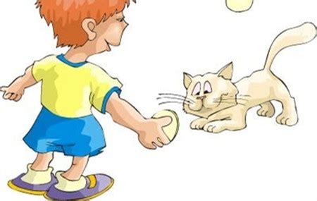 【野猫和男孩的故事】男孩和野猫的故事_全故事网