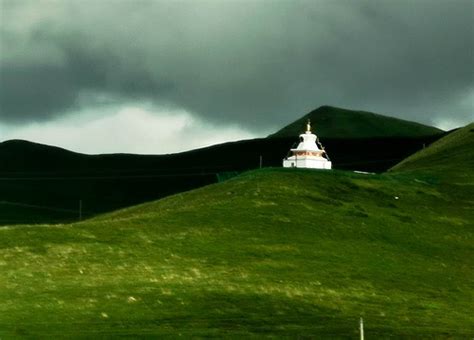 甘南，一个草原风光，藏式风情不逊于西藏的地方，去过的人都说|西藏|甘南|草原_新浪新闻
