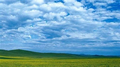 2021年内蒙古通辽统计师报名时间；8月3日至12日