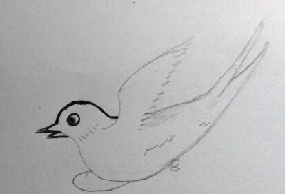 燕子的画法步骤涂色 小燕子简笔画图片 - 巧巧简笔画