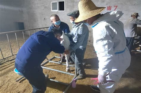 中国畜牧兽医信息网