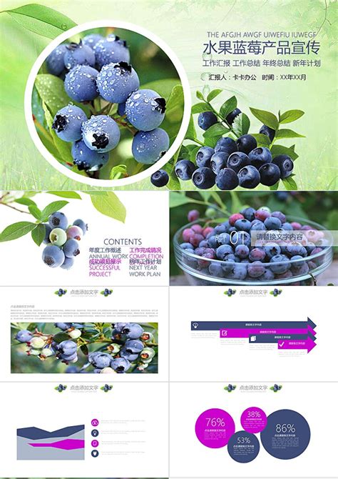 清新简约创意农产品水果蓝莓产品宣传通用PPT模板-卡卡办公