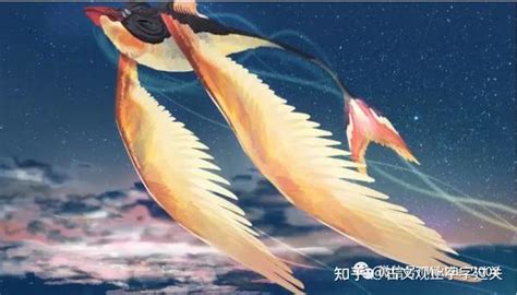 北冥有鱼，其名为鲲|摄影|修图/后期|kookzhk - 原创作品 - 站酷 (ZCOOL)