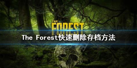 the forest_哔哩哔哩_bilibili